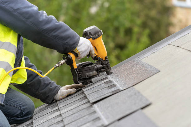 Best Sheet Metal Roofing  in Meridian, MS
