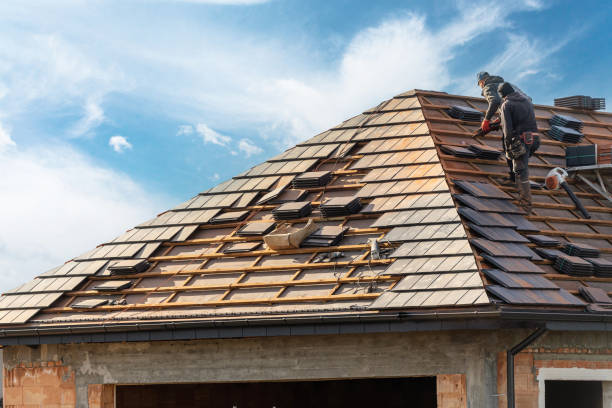 Best Roof Ventilation Installation  in Meridian, MS